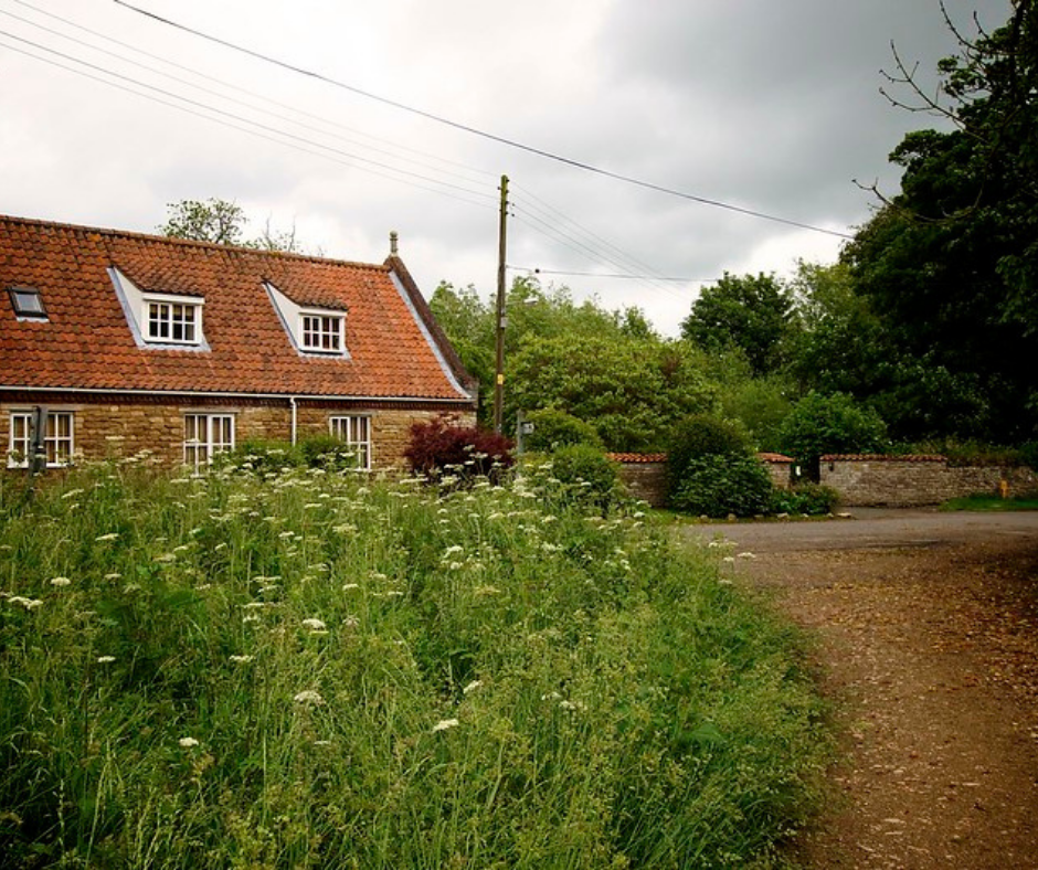neighbourhood plan